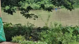 বরফের এত বড় বড় খন্ড কীভাবে নেওয়া হচ্ছে ইলিশ  মাছের কাছে তাই দেখুন চাঁদপুর মৎস জেলায় ভ্রমণ ভিডিওতে।