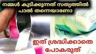 കാണാതെ പോകരുത് | milma | latest news | trending news | amazing news | wide range media Malayalam |