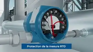 Transmetteur de temp&eacute;rature Rosemount&trade; 3144S | Emerson