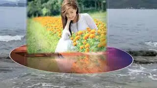 Various Transition(다양한 전환 효과)Slideshows  Proshow
