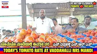 Tomato rate today at VADDAHALLI NRS MANDI KARNATAKA 