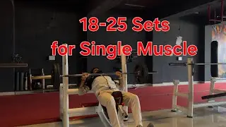 DAY 16 BACK DAY HOW MANY SETS PER MUSCLE GROUP 