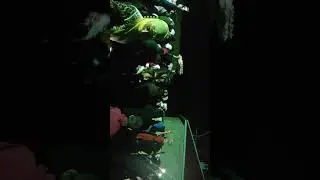 Erzurum Tekman katranlı köyü. yücepınar düğünü