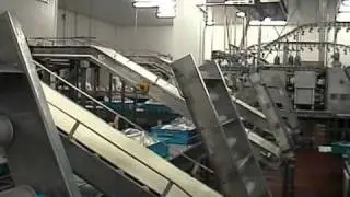 KITTNER Anlagen- und maschinenbau - Fully automatic transport systems for the food industry