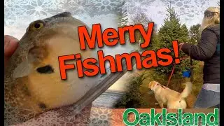 December Whiting and Puffer Surf Fishing on Oak Island, Merry Fishmas!