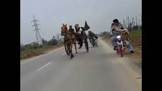 Horse Sada Bahaar