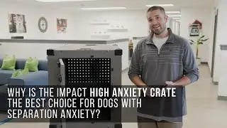 Why is the High Anxiety Impact Dog Crate the best choice for dogs with separation anxiety?