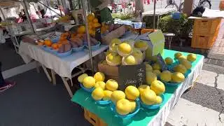Kochi Sunday Market/Brigit Budget Traveler