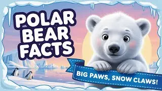 Polar Bear Facts for Kids | Arctic Giants and Snowy Secrets