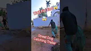 Street Fighter Amazing Dog Catching #dog #dogwithpublicsafety #streetfighter #ytviral #pets #shorts