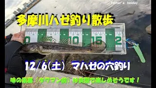 【おやじの休日】多摩川ハゼ釣り散歩