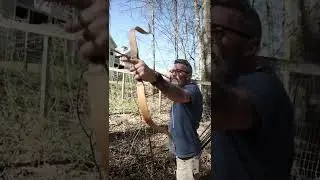 AF Archery Tatar Bow