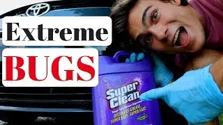 Removing Bugs From Front Of Car: Super Clean Degreaser