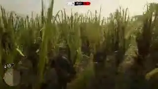 Rdr2