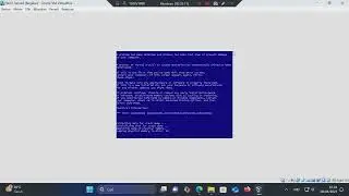 Laugher Vbox Windows BSOD #5