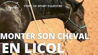 Monter son cheval en licol &eacute;thologique ?