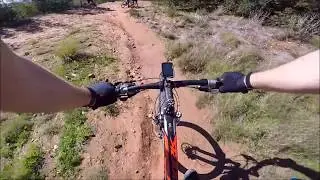 MTB - Singletrack section of Tokai Forest MTB Trail in Tokai, WCZA