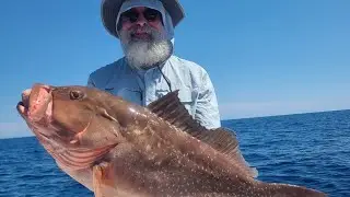 Lesson learned- don't set the hook when you're using circle hooks.