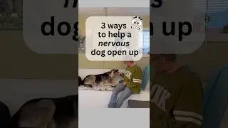 3 ways to help your nervous dog open up #fearfuldogs #nervousdogs #dogbehavior #pranadogs #shydogs