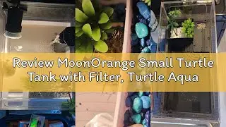 Review MoonOrange Small Turtle Tank with Filter, Turtle Aquarium, Acrylic Turtle Terrarium with Bask