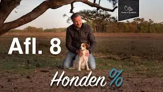 Afl. 8 | Mijn hond blaft naar de postbode