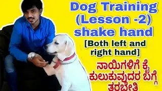 Dog training in kannada| shake hand command| Basic training for dog