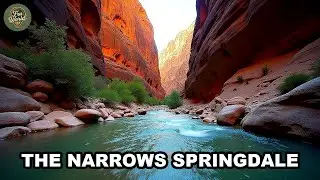the Narrows Springdale Utah Usa | The Narrows, Slot Canyon, Virgin River Hike & Wall Street AL