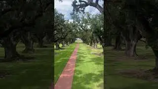 Unveiling the Charm of a Plantation Home: A Real Estate Walkthrough #realestate