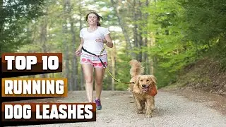 Best Dog Leashes for Running In 2025 - Top 10 Dog Leashes for Runnings Review