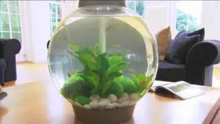 biOrb Aquariums - Bradshaws Direct