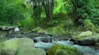 Waters of Rest - Peaceful Stream Sounds | sleep - relax - enjoy life - ASMR
