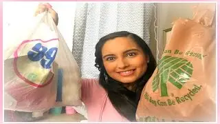 HUGE Dollar Tree & 99 Cent Only Store Haul!