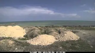 TC Week One Time Lapse