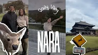 UM DIA EM NARA - JAPÃO 📍/ VEADINHOS / BUDA / LAMEN