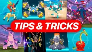 Ultimate Guide to the KELDEO Season!