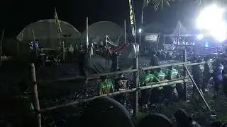 LEMBU BALAP bantengan mberot Swaluhan