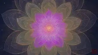 Petals of the Hidden Path