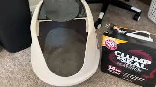 Arm & Hammer Clump & Seal Platinum (Reviews of everyday use products in my house you may love too!)