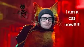 LIVE:  I Need Bug Repellent🐾 | Stray Gameplay Walkthrough