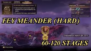 Fey meander 60-120 Проходження всіх поверхів DragonHeir Silent Gods #Dragonheir