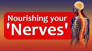 Nourishing Your Nerves: A Guide to Foods for Optimal Nerve Health