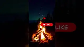 Crackling Campfire Sounds 🔥 No Music