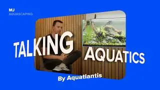 TALKING AQUATICS | Ep.1 &ndash; Aquascaping Insights with MJ AQUASCAPING | By #AquatlantisAquarium