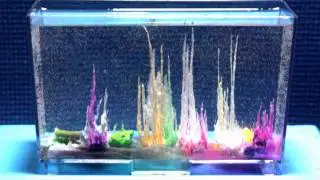 Magic Rocks Time Lapse Photography
