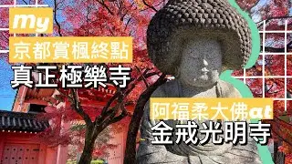 #28【京都滯在27天】京都賞楓終點在真如堂(真正極樂寺) | 金戒光明寺阿福柔大佛 | 堀川新文化大樓 | 終於喝到WEEKENDERS COFFEE | 京都一人旅