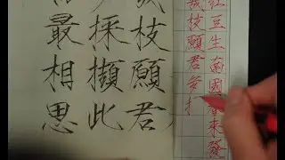 硬笔瘦金体// Chinese calligraphy //Slender Gold Script