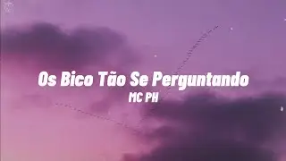 MC PH - Os Bico Tão Se Perguntando (Letra)