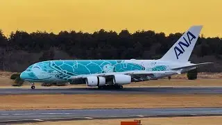 LATE AFTERNOON PLANE SPOTTING AT NARITA AIRPORT