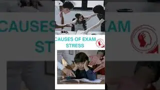 EXAM PRESSURE AND CAUSES OF EXAM STRESS