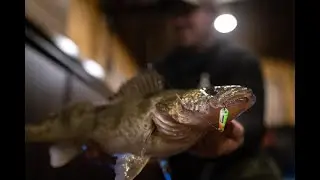 4 Bait Styles you NEED for Walleyes and Perch
